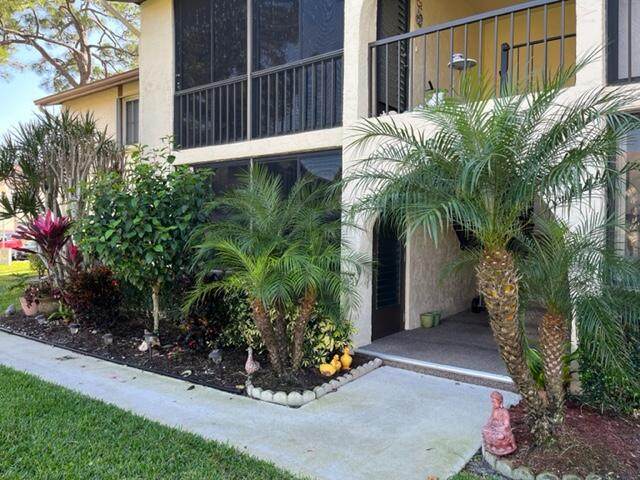 335 Knotty Pine C1 Circle - Photo 1