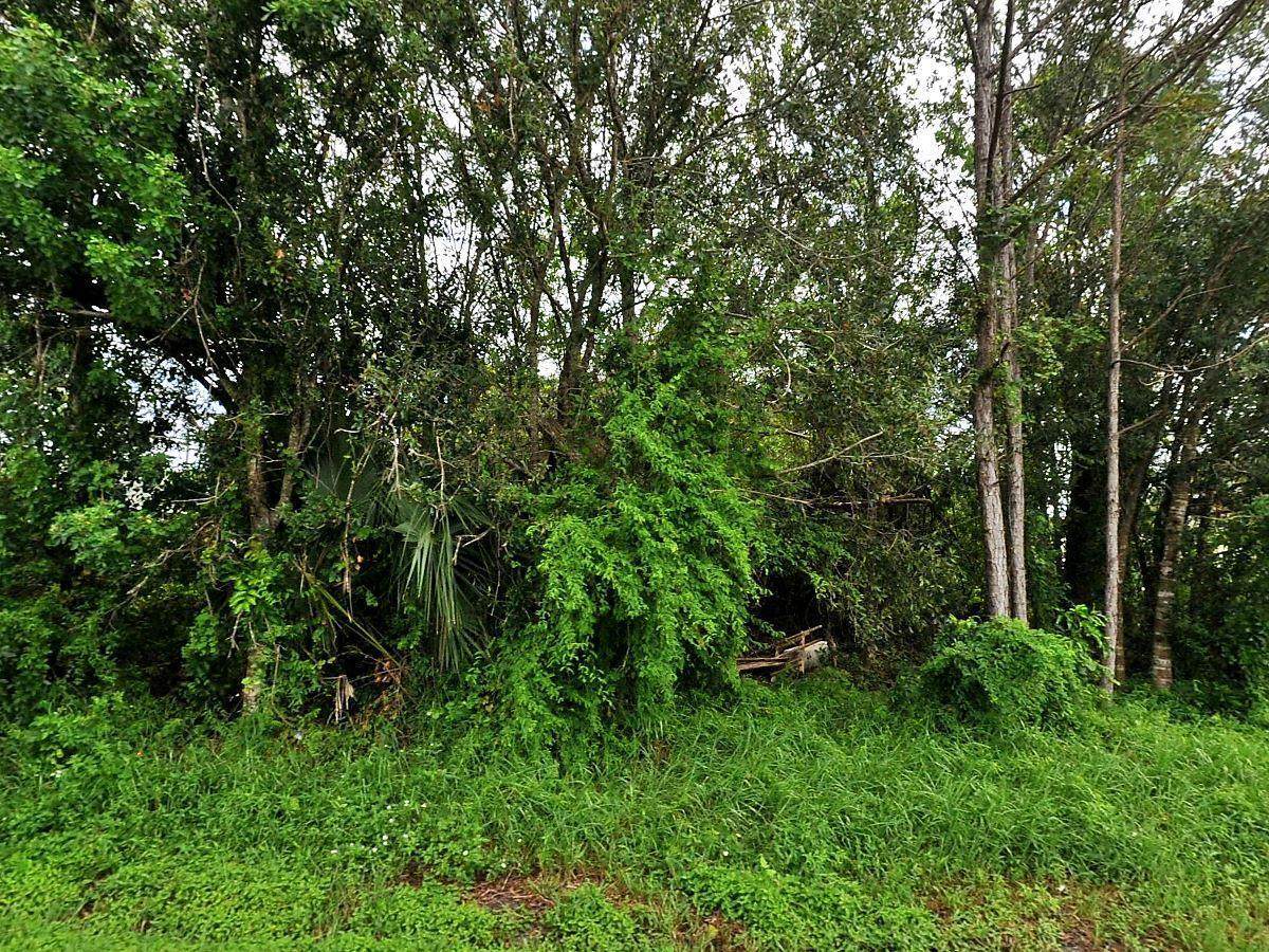2065 Certosa Road - Photo 1
