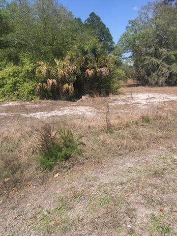 263 Avenida Del Club - Photo 1