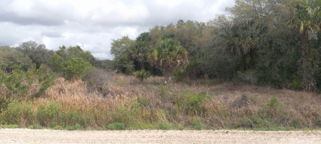 15181 304th Street - Photo 1