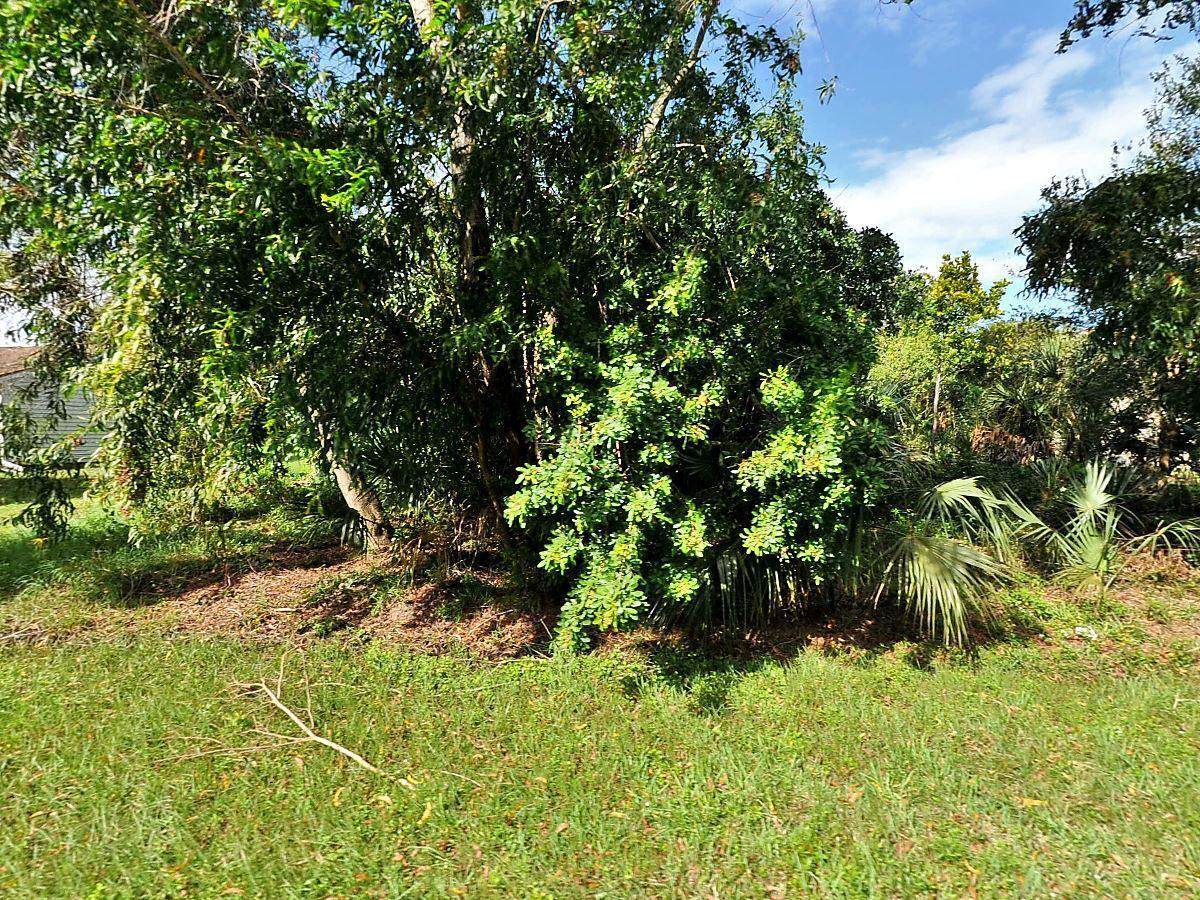 2132 Buttonwood Drive - Photo 1