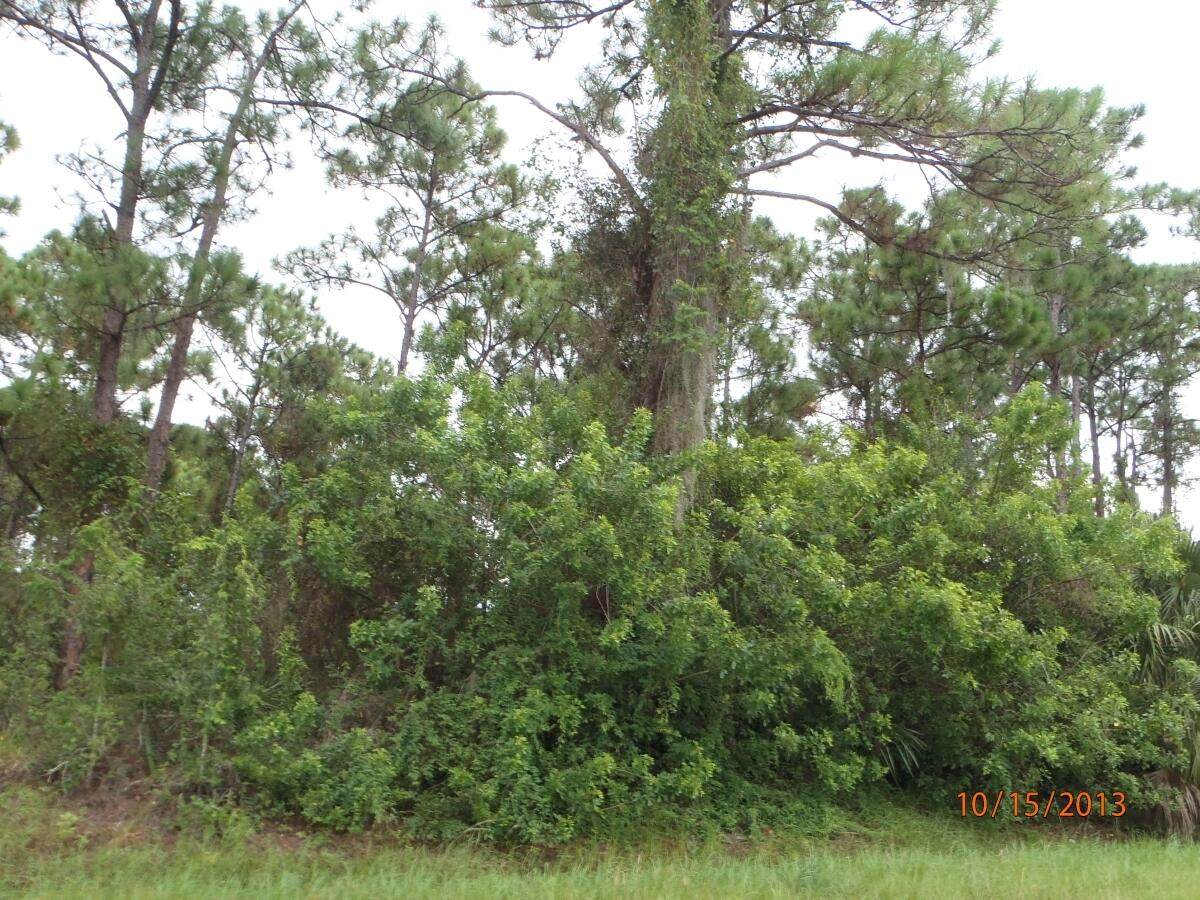5820 Buchanan Drive - Photo 1