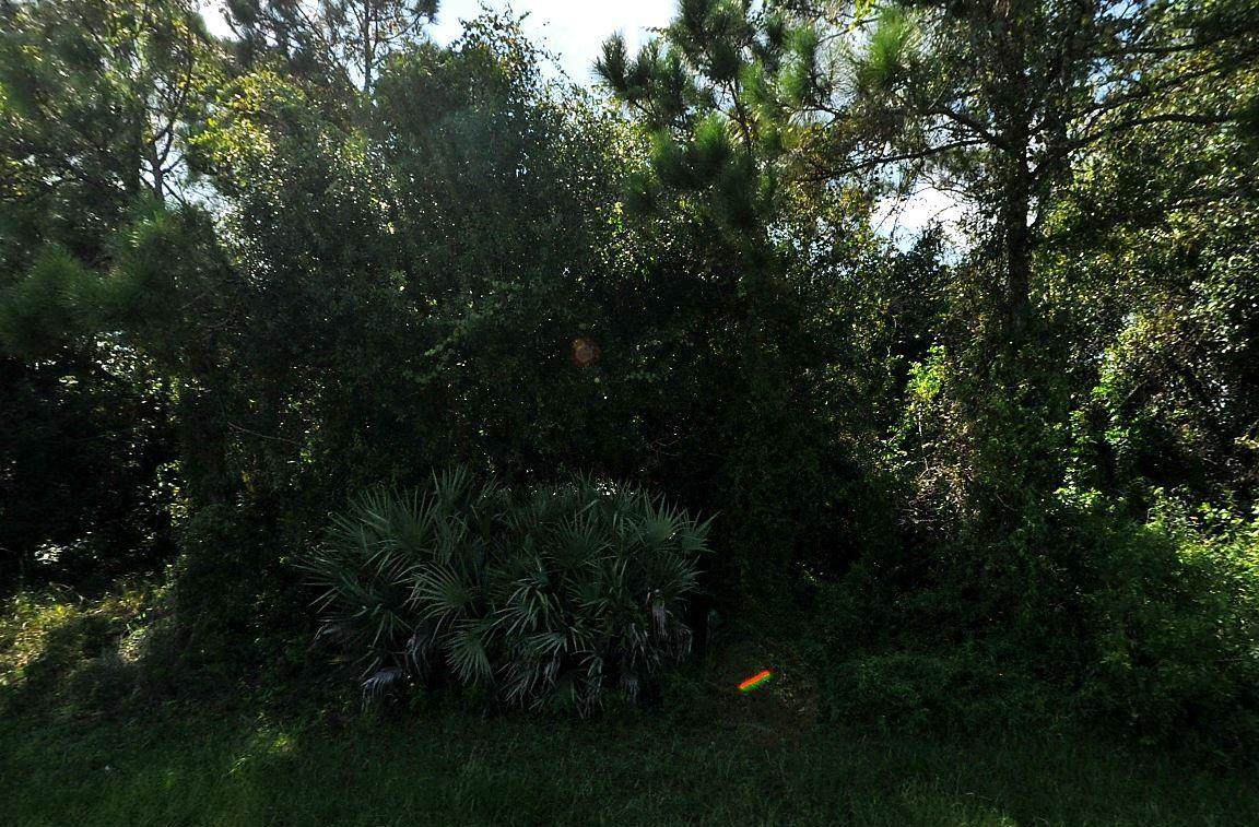 5101 Salle Street - Photo 1