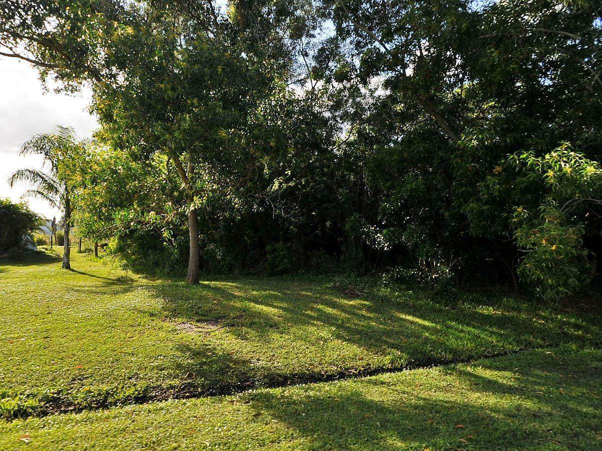 2883 Pace Drive - Photo 1