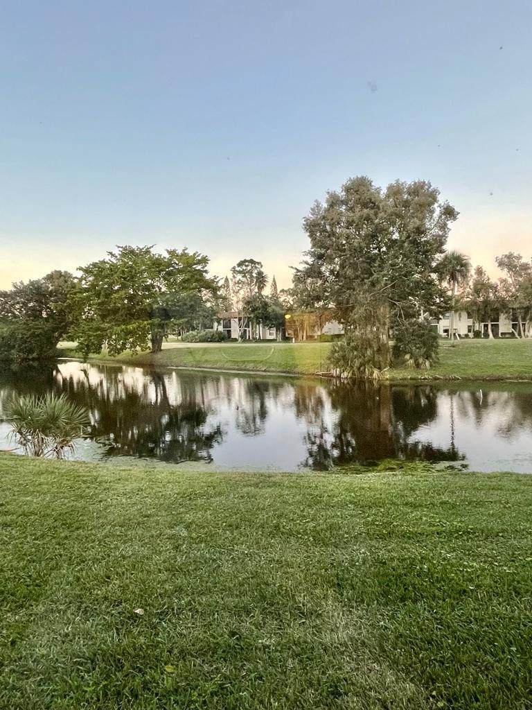 7641 Tahiti Lane - Photo 1