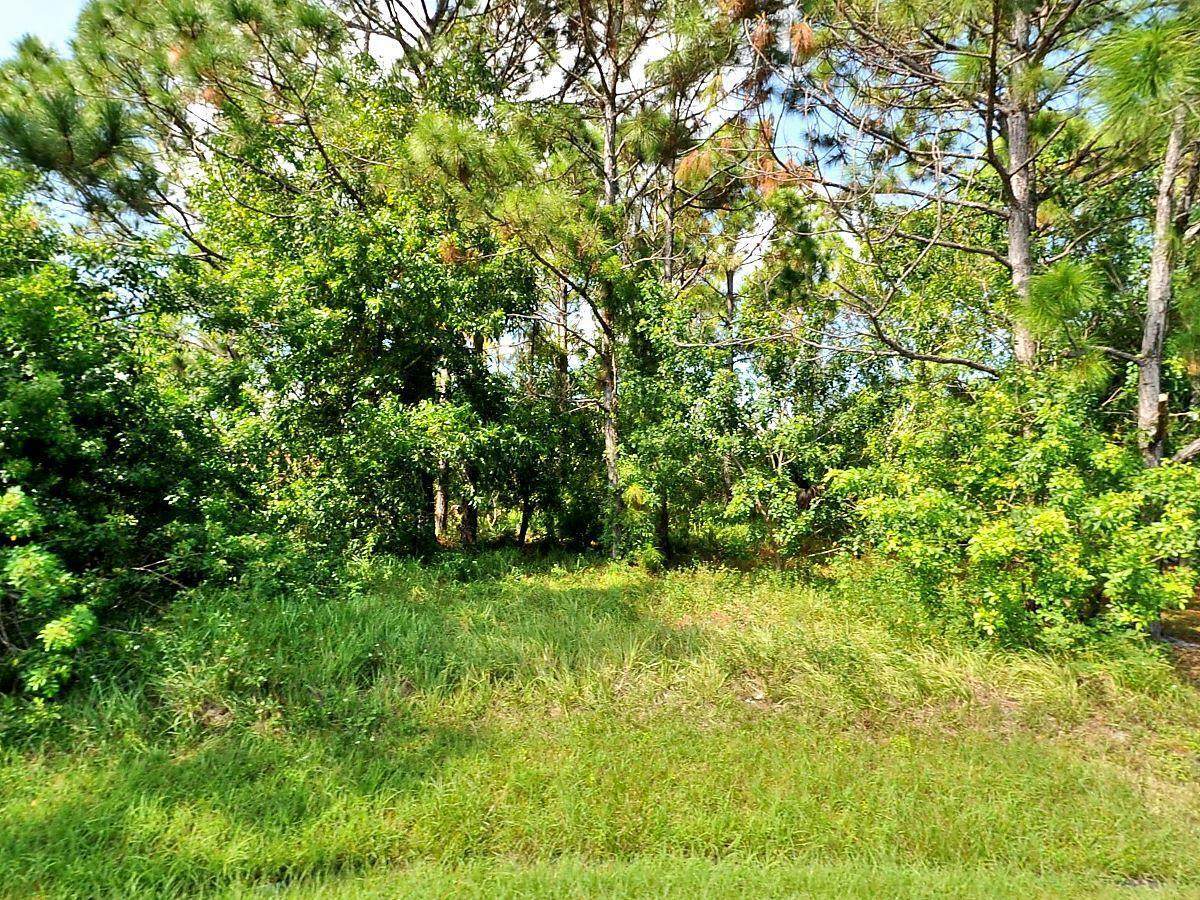 5829 Cibo Court - Photo 1