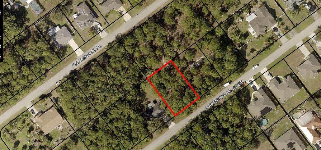835 Ravenswood Street - Photo 1