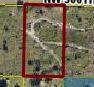 14822 306th Street - Photo 1