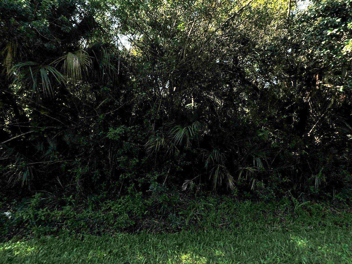 7201 Palomar Parkway - Photo 1