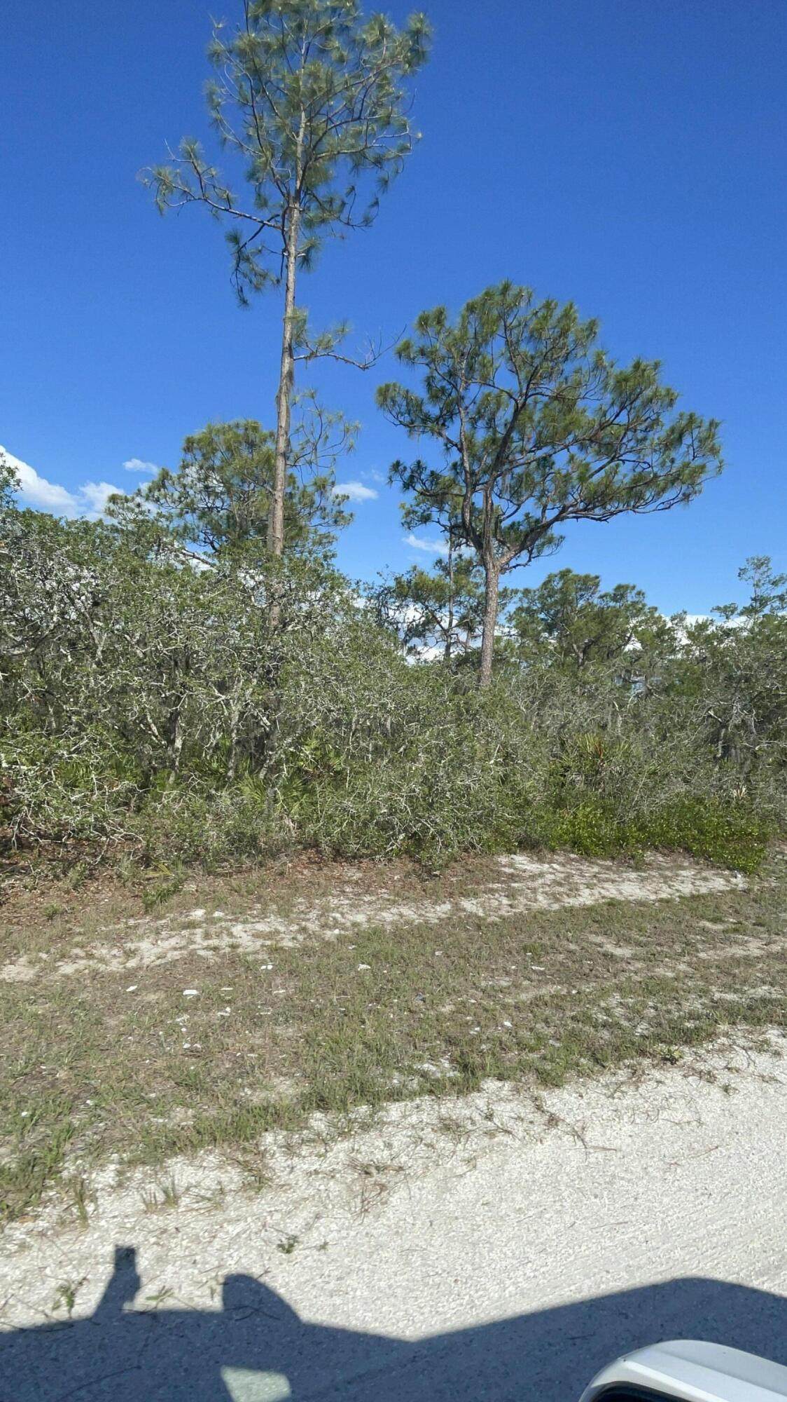 4603 Rachael Drive - Photo 1