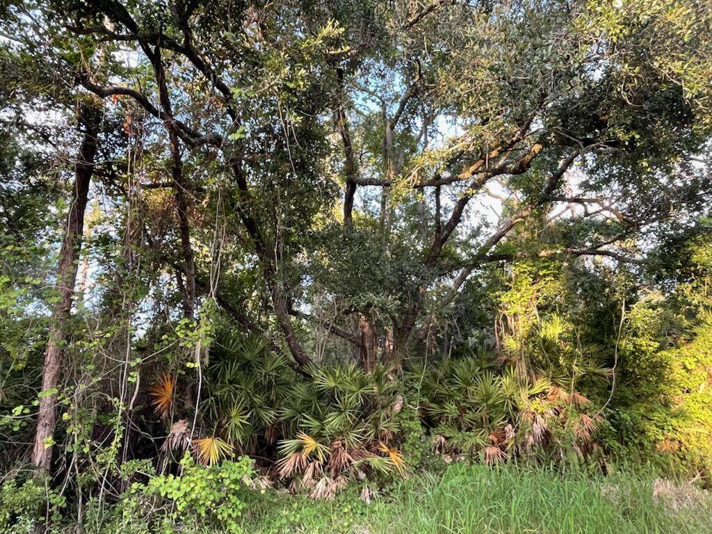 1135 Butternut Road - Photo 1