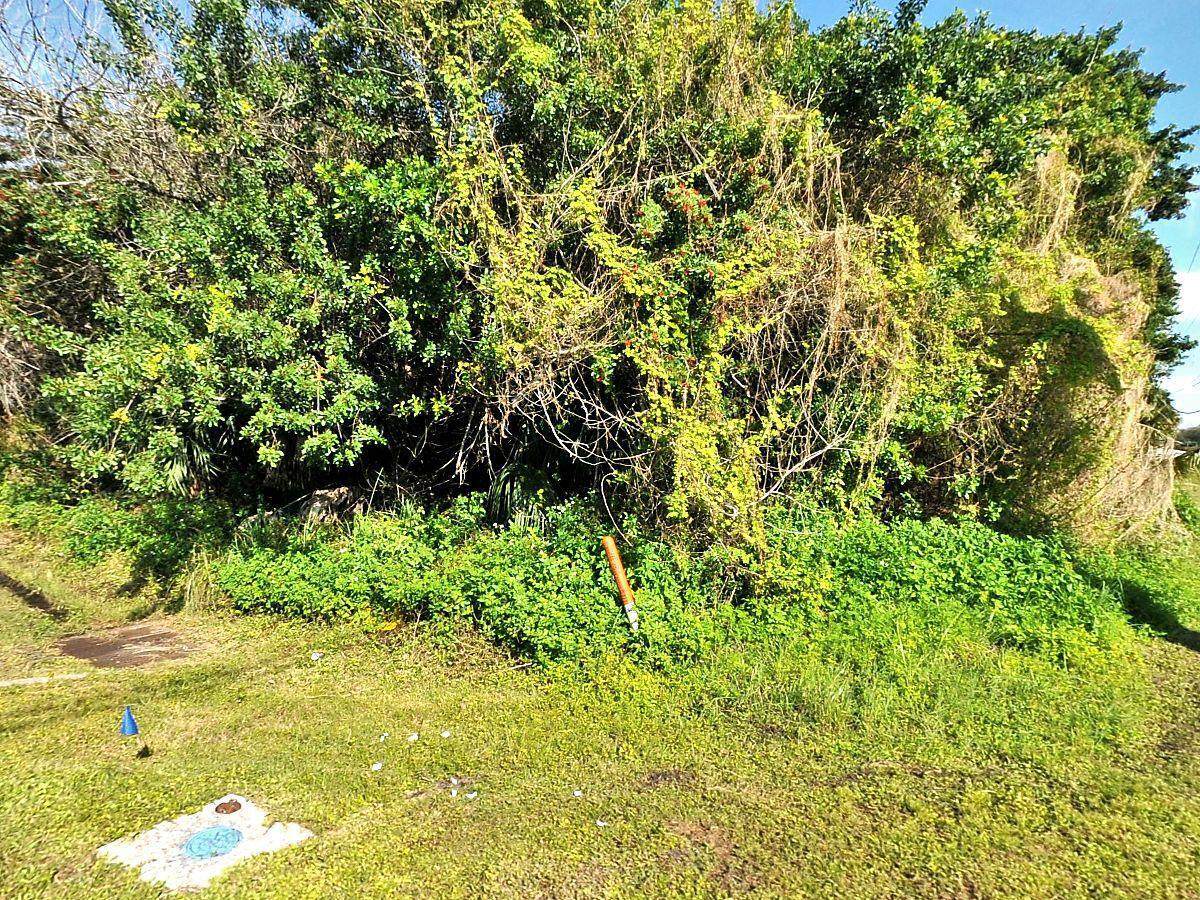 899 Becker Road - Photo 1
