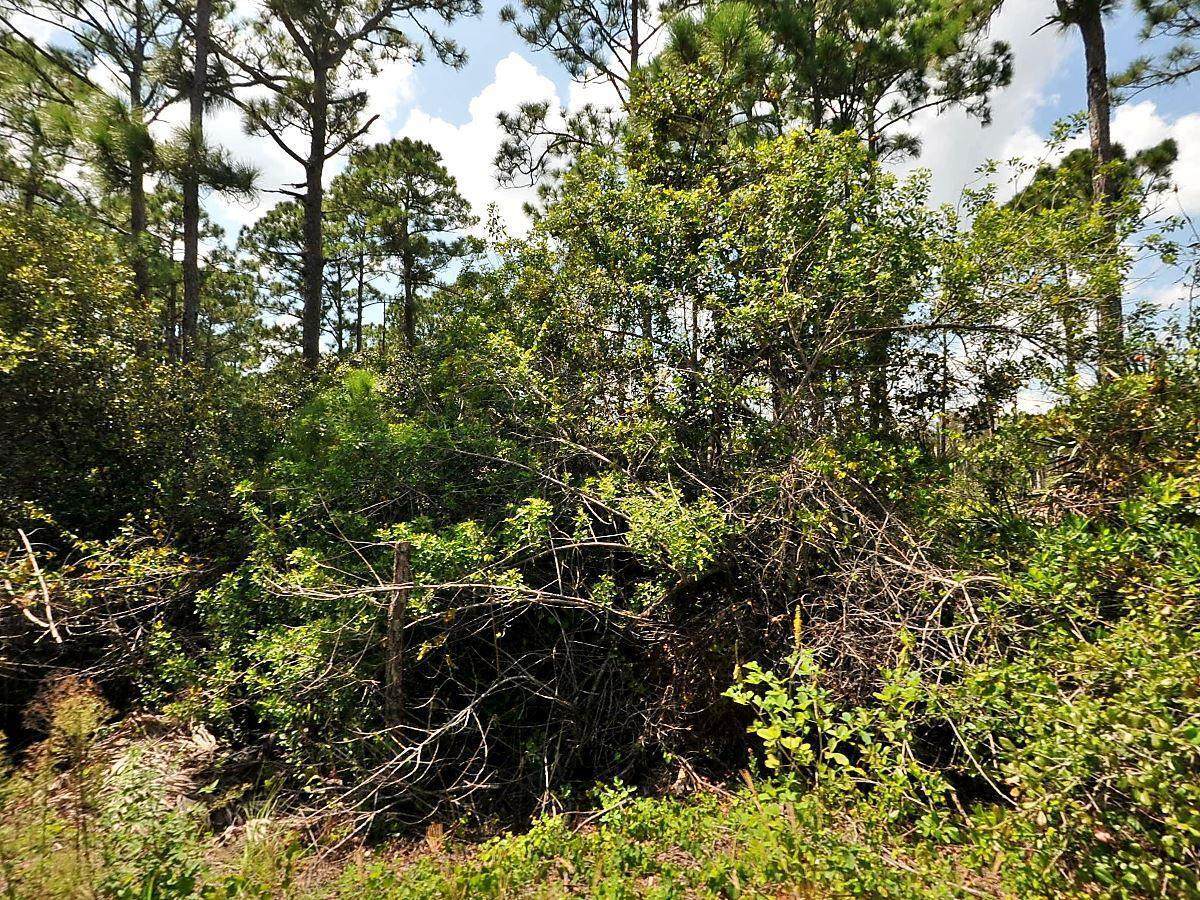 0 Top Trail - Photo 1