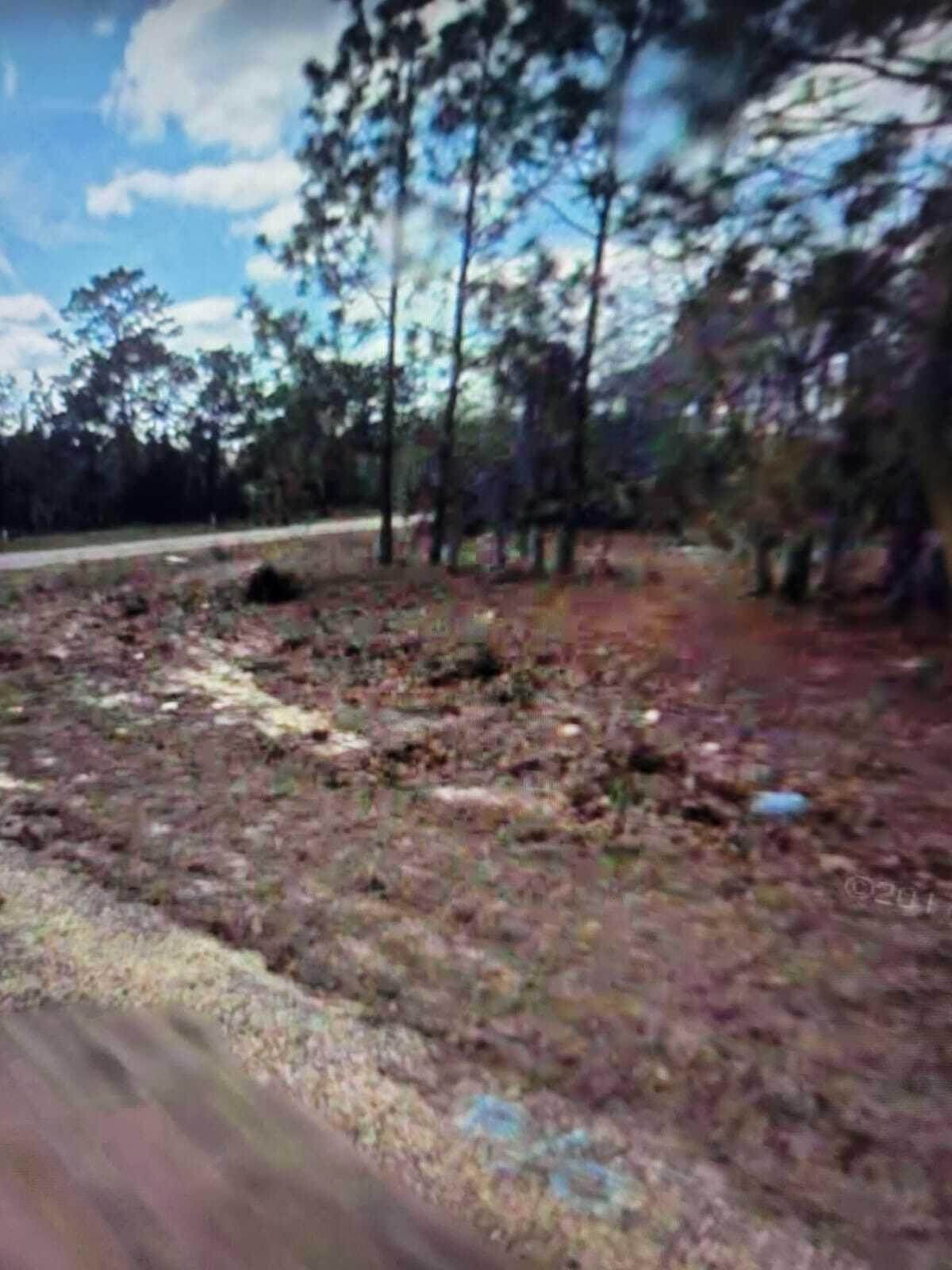 9913 Swanee Terrace - Photo 1