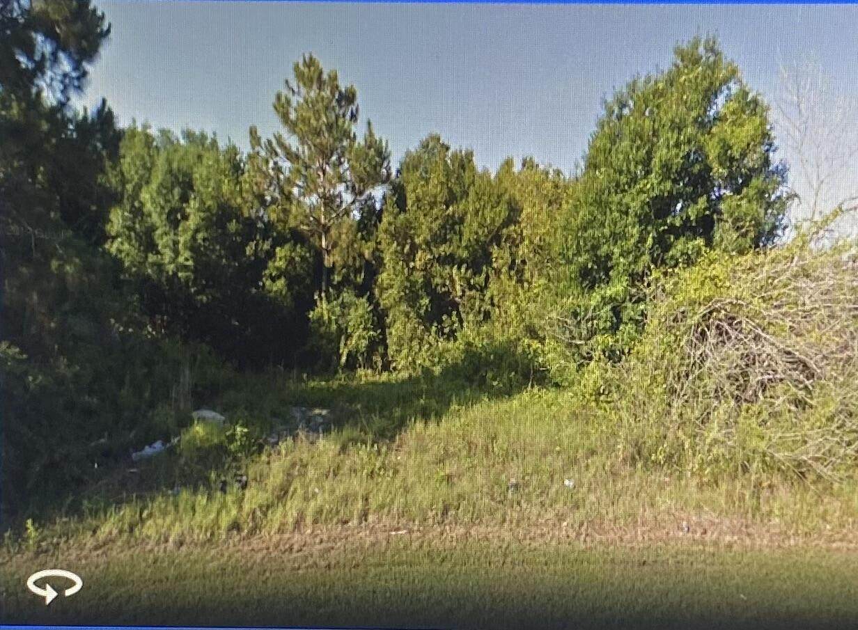 1034 Cairo Avenue - Photo 1