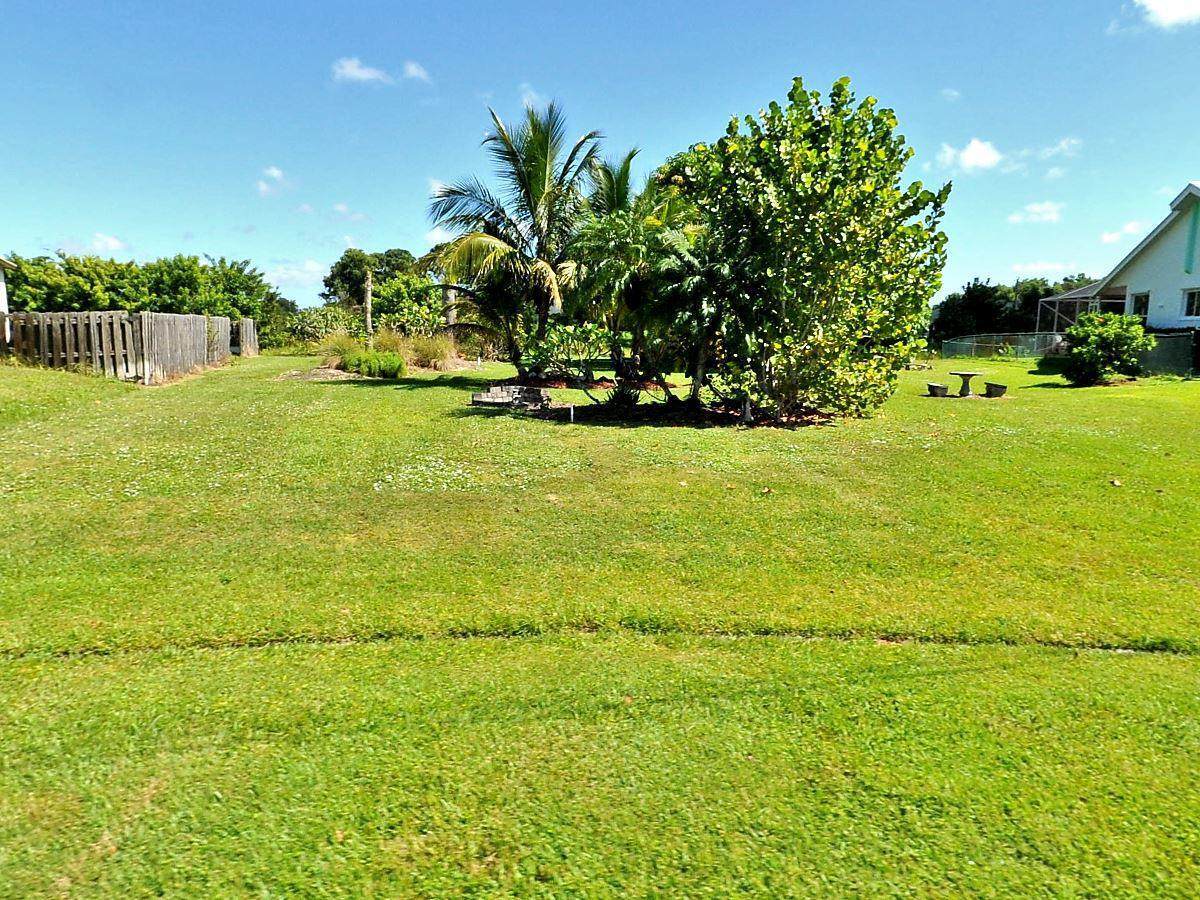 6723 Dorothy Street - Photo 1