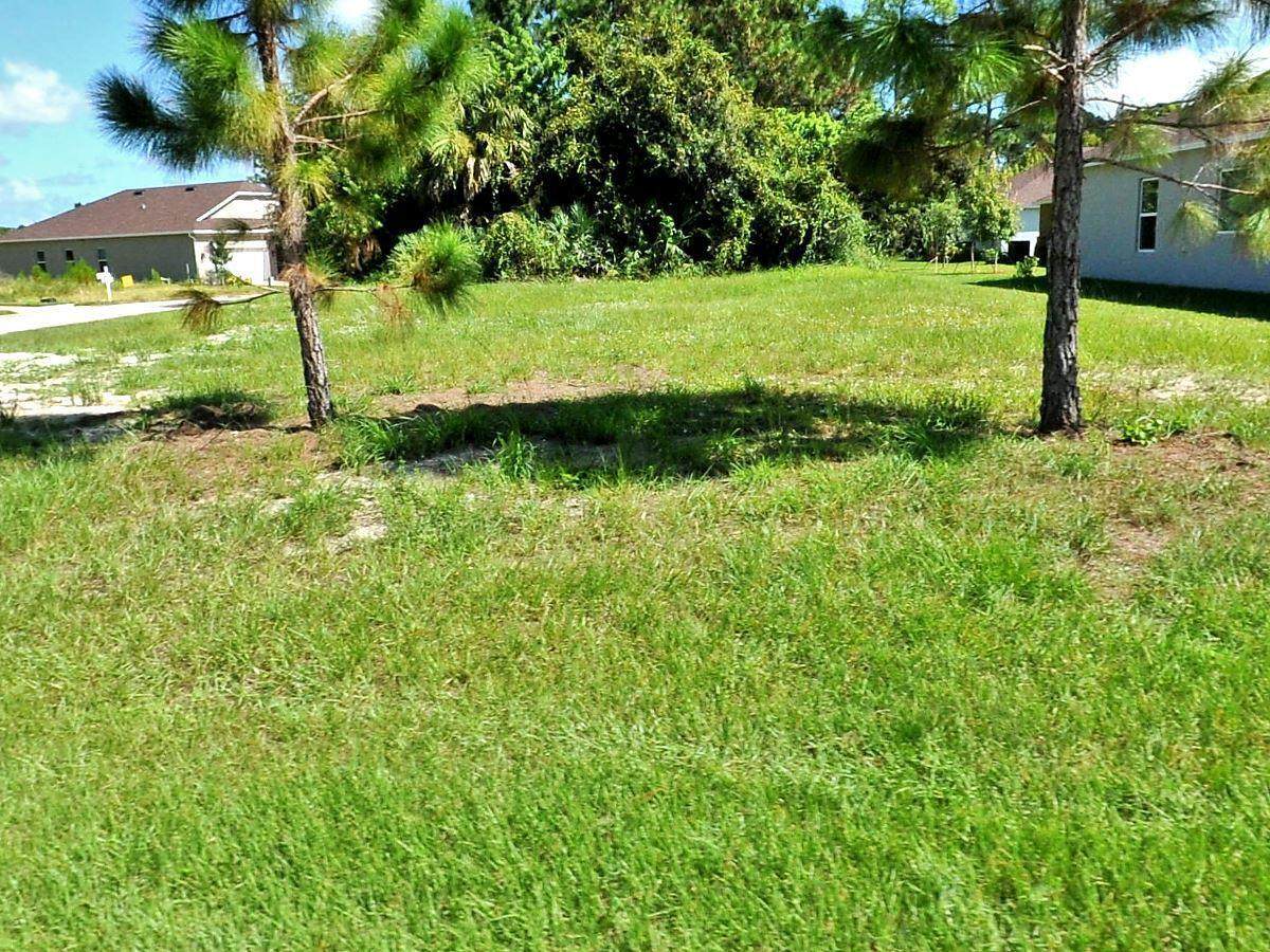 660 Moss Rose Place - Photo 1
