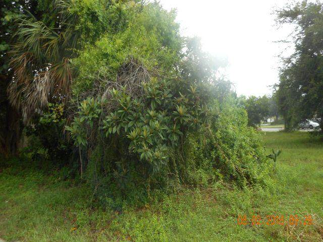 1429 Lauderdale Villa Drive - Photo 1