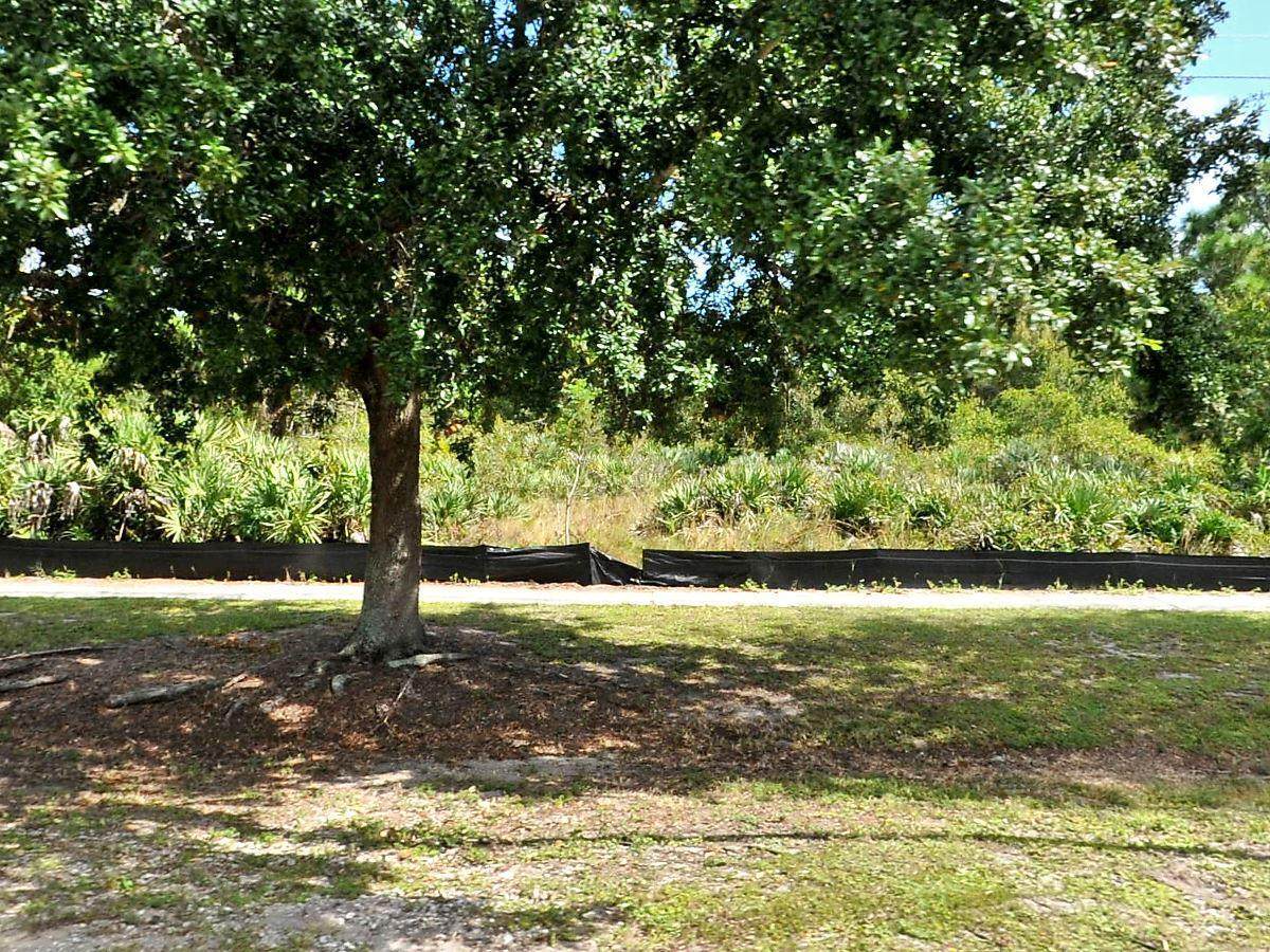 3238 Us 1 Highway - Photo 1