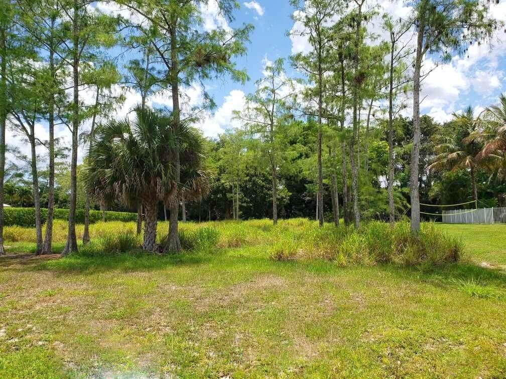 15210 Meadow Wood Drive - Photo 1
