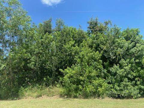 1034 College Park Road - Photo 1
