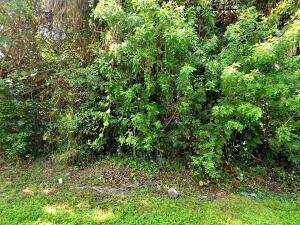 5309 Birch Drive - Photo 1