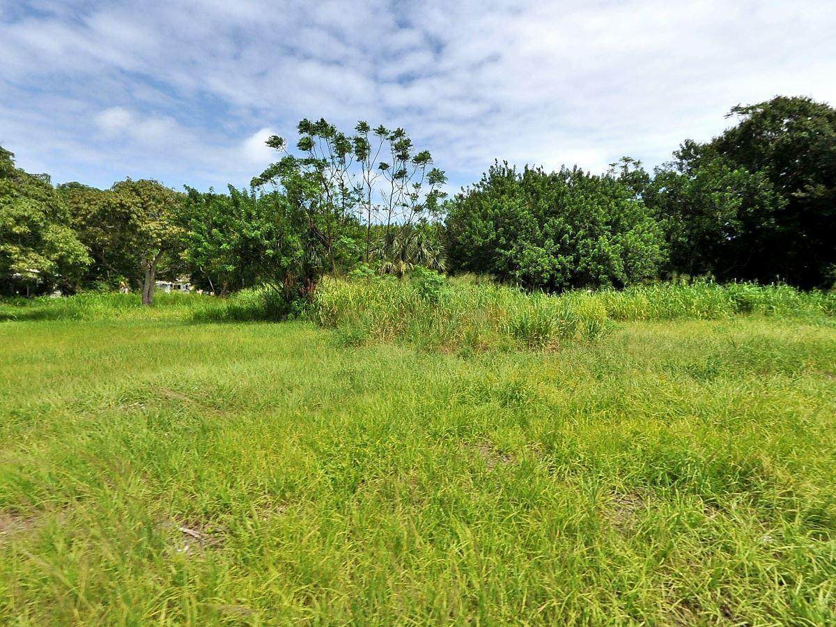 1202 Avenue F - Photo 1