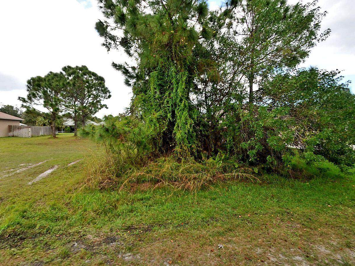 5641 Crocus Avenue - Photo 1