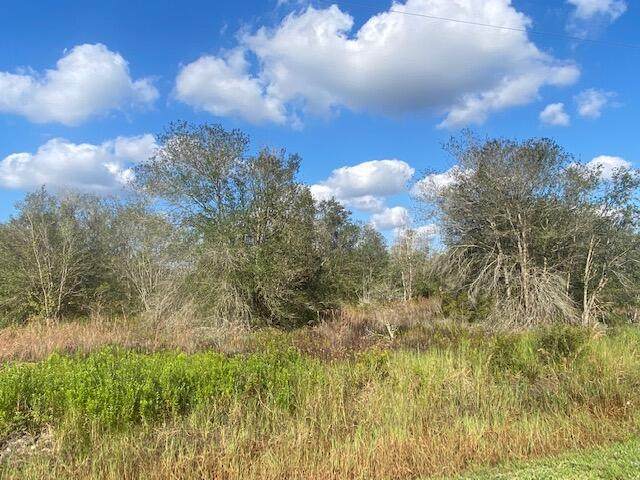21917 258th Street - Photo 1