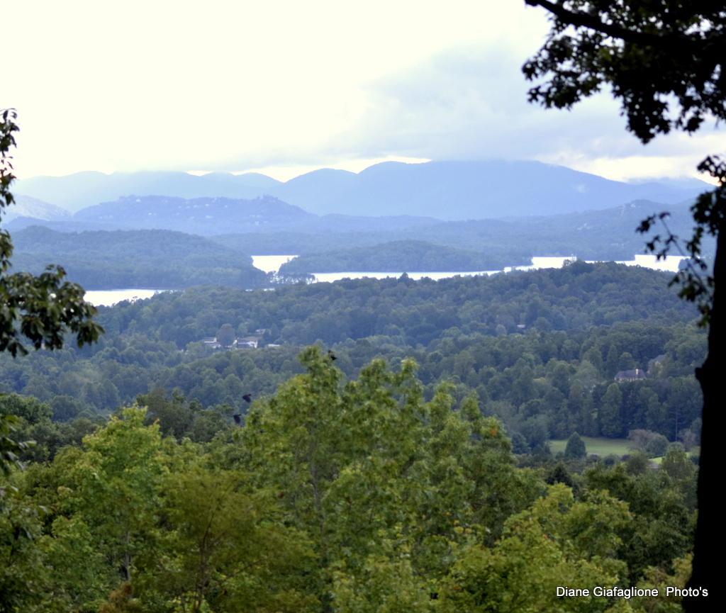 Lot 25 Solitude Lane - Photo 1