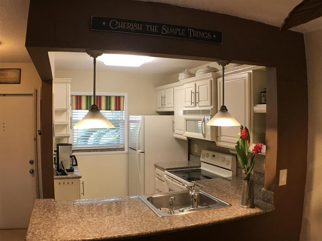 207 Tropic Isle Drive - Photo 1