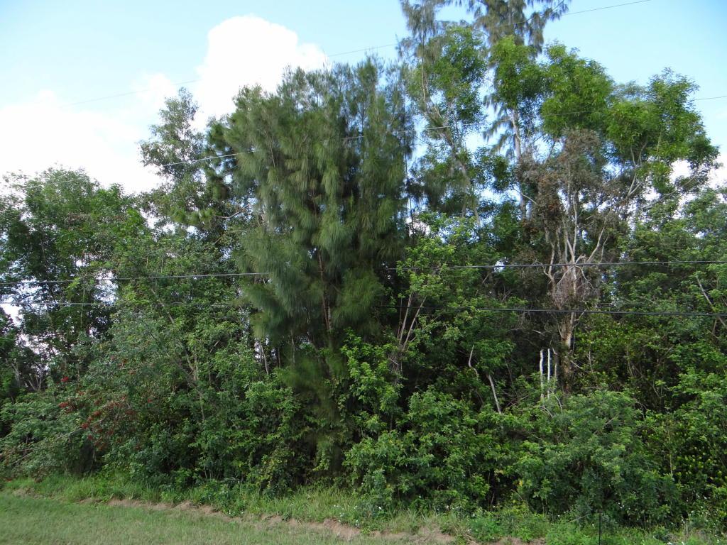 An-429 Prado Boulevard - Photo 1