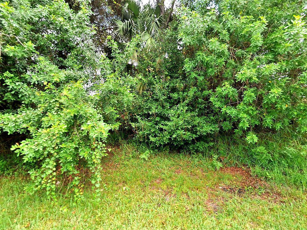 3631 Dellamano Street - Photo 1