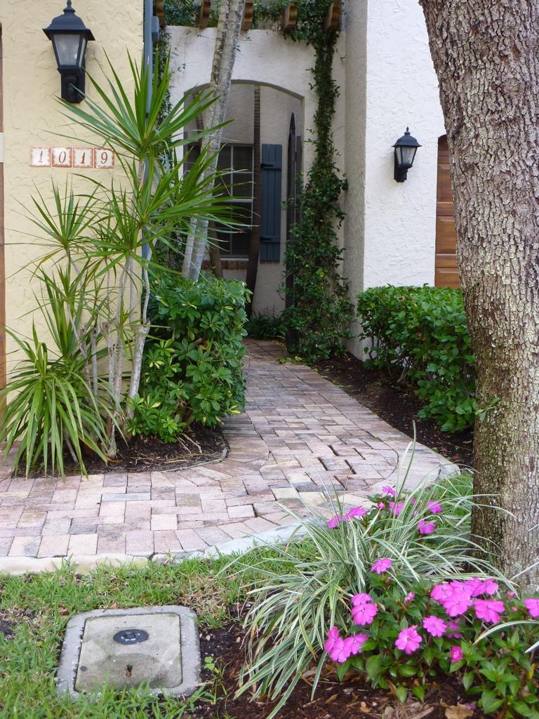 1019 Coralina Lane - Photo 1