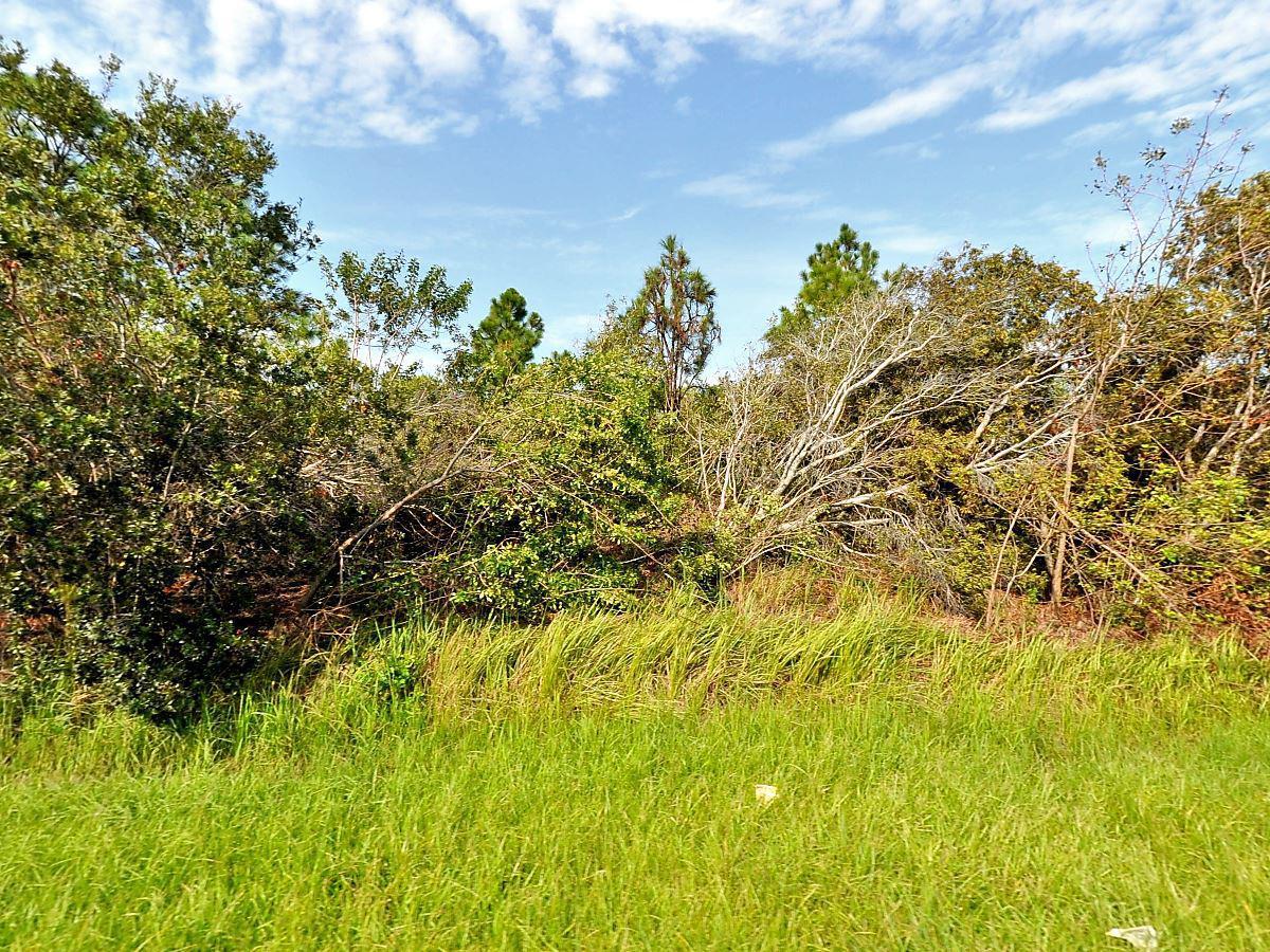 2060 Imperial Street - Photo 1