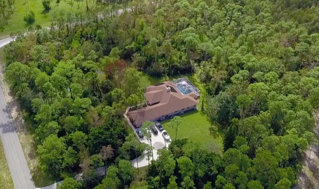 6251 Wild Orchid Trail - Photo 1
