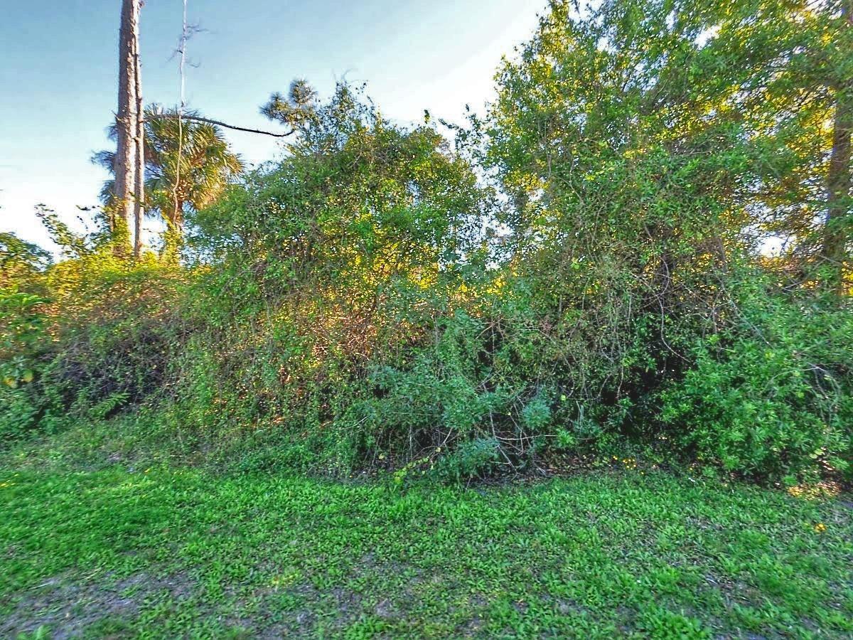 7503 Belleair Avenue - Photo 1
