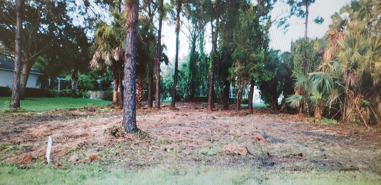 561 Perch Lane - Photo 1