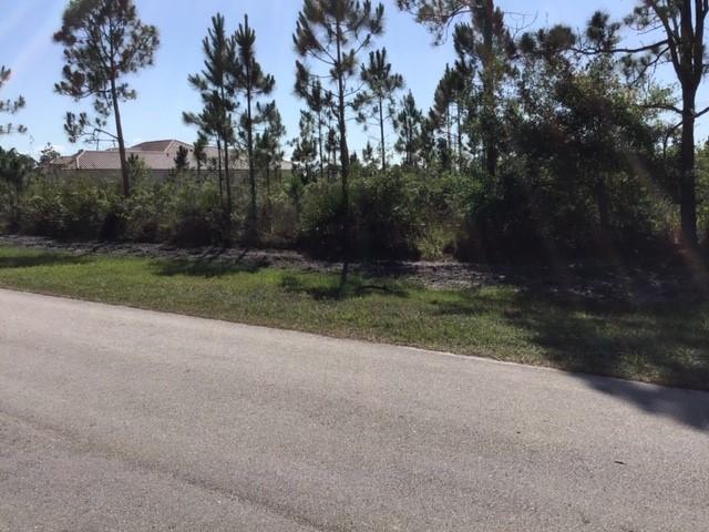 7828 Saddlebrook Drive - Photo 1