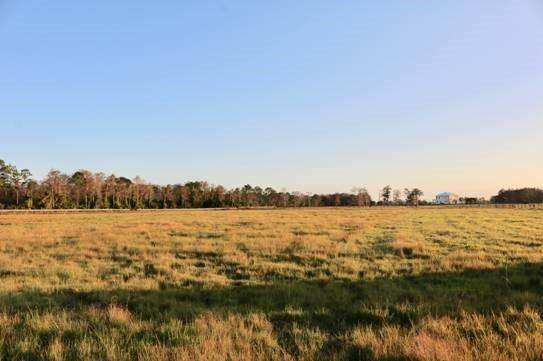 3503 Trailside Path - Photo 1