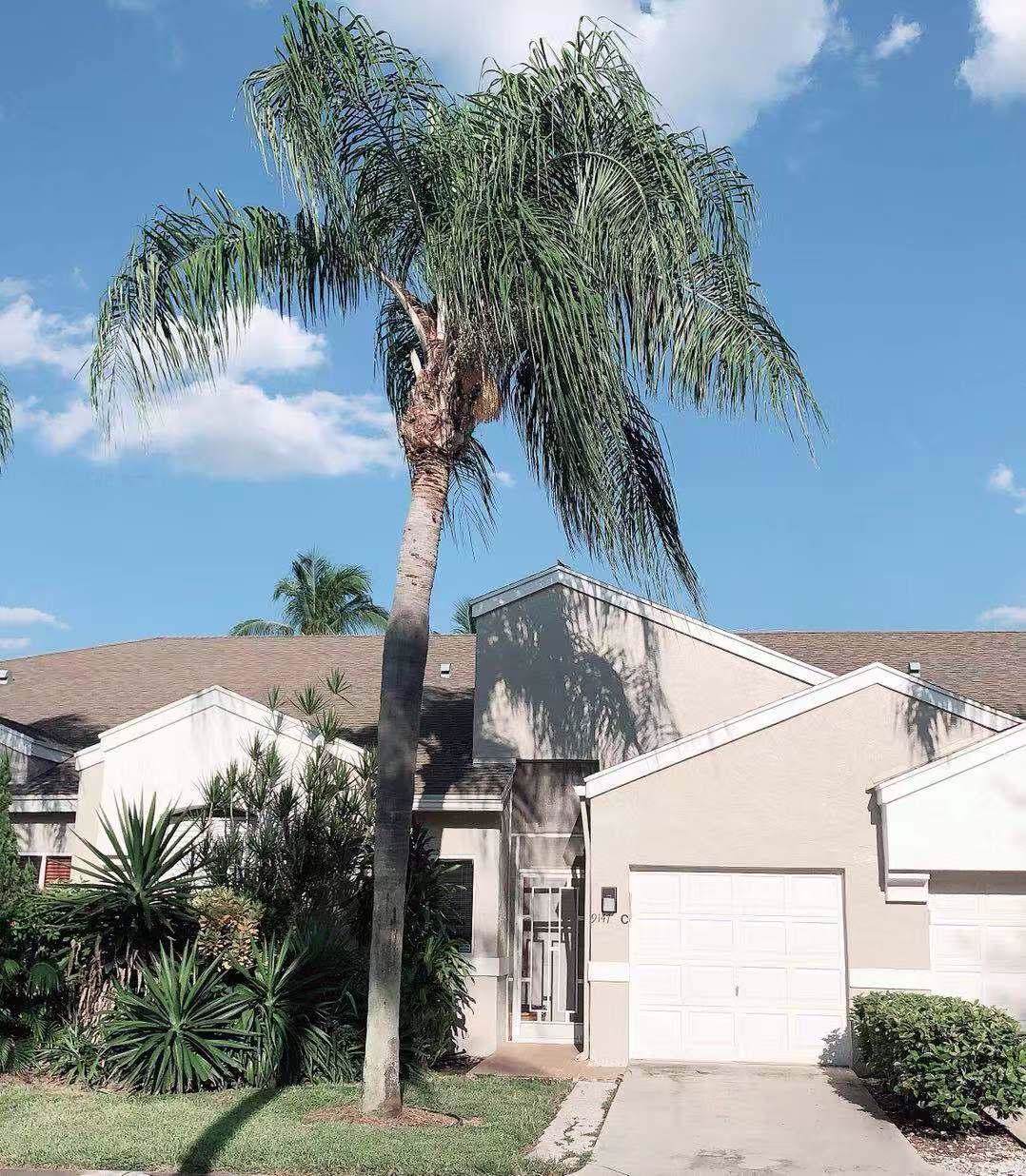 9147 Vineland Court - Photo 1