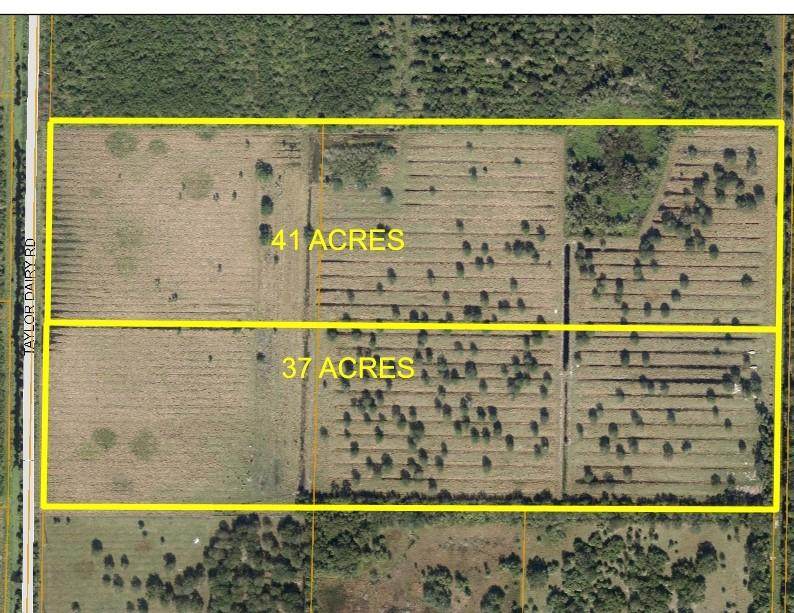 3150 Taylor Dairy Road - Photo 1