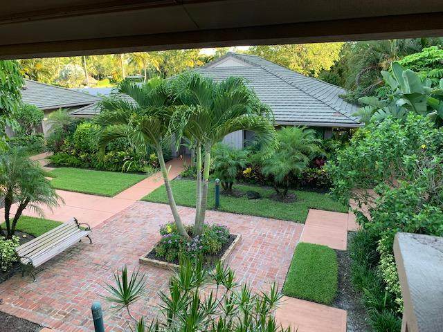 7085 Rain Forest Drive - Photo 1