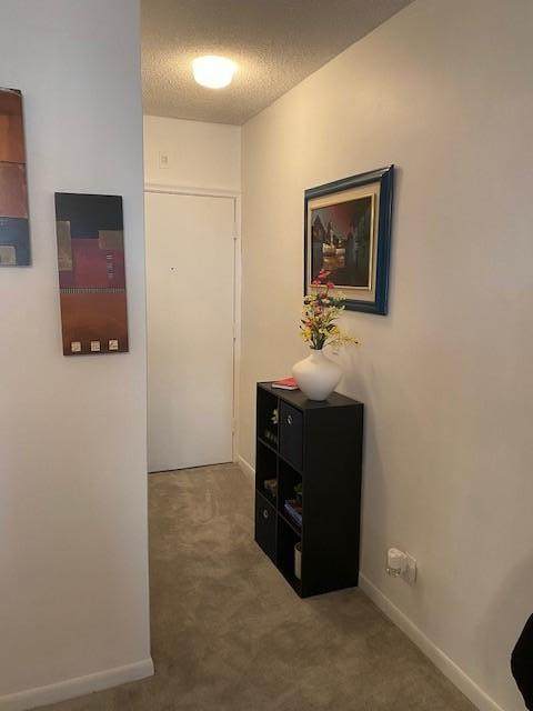 350 Cypress Road - Photo 1