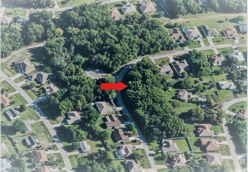 2949 Boxwood Circle - Photo 1