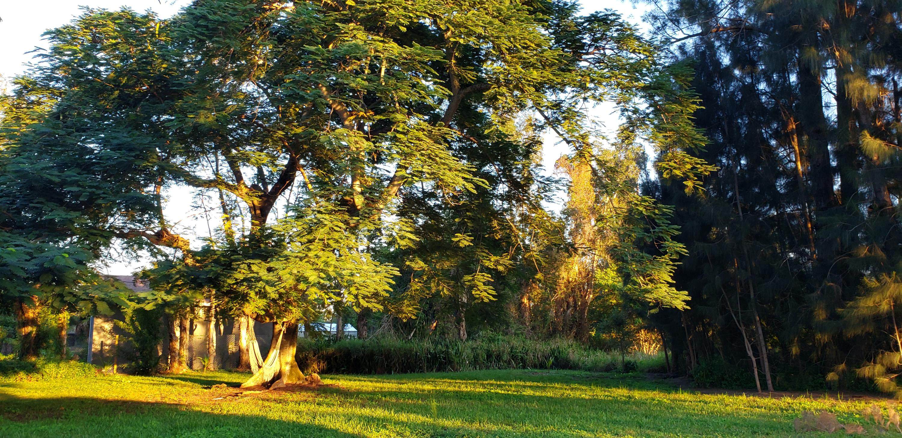 Palm Springs, FL 33406 :: Real Treasure Coast