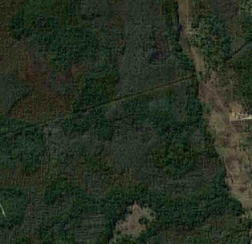 0 Old Grade Road - Photo 1