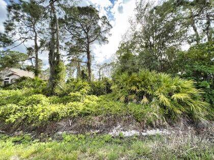 5523 Lake Haven Boulevard - Photo 1