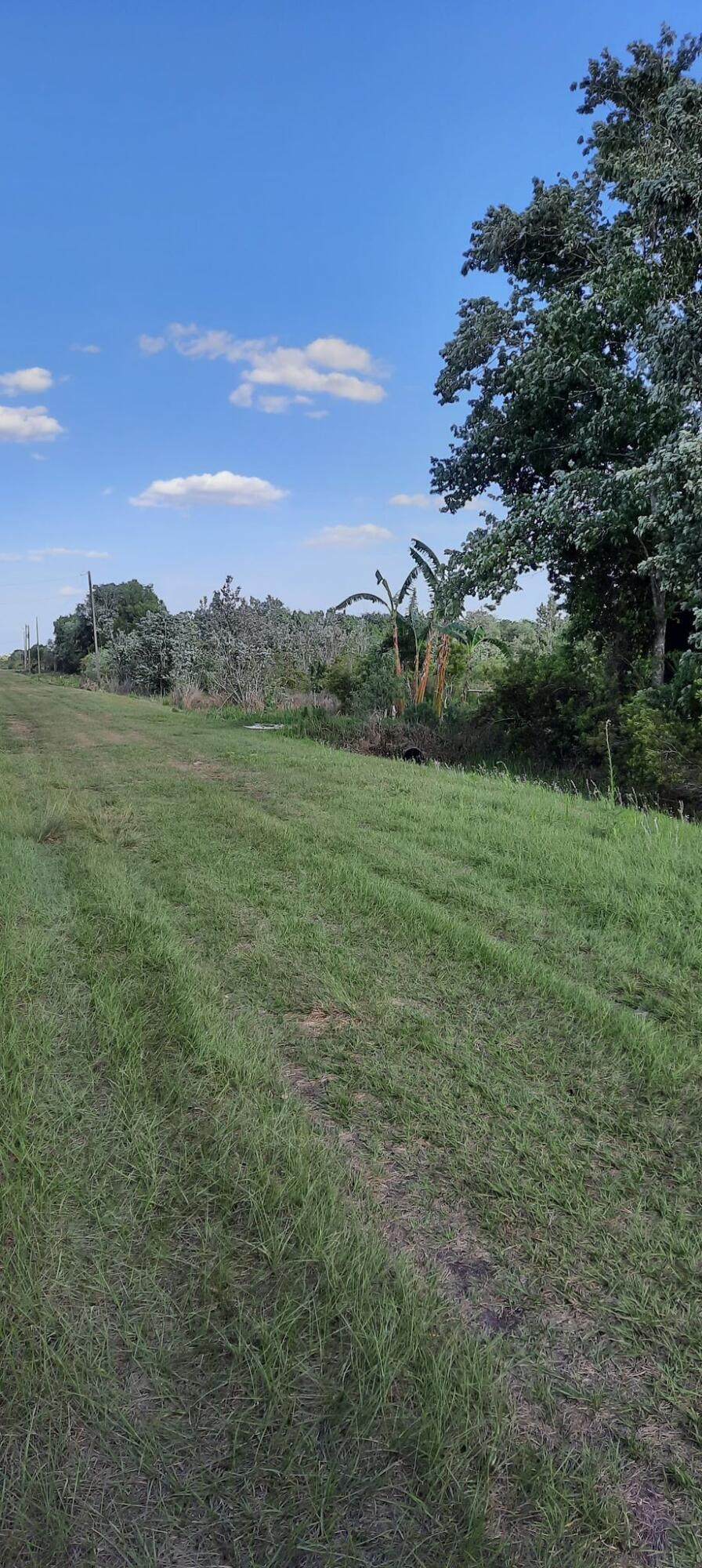 19515 258th Street - Photo 1