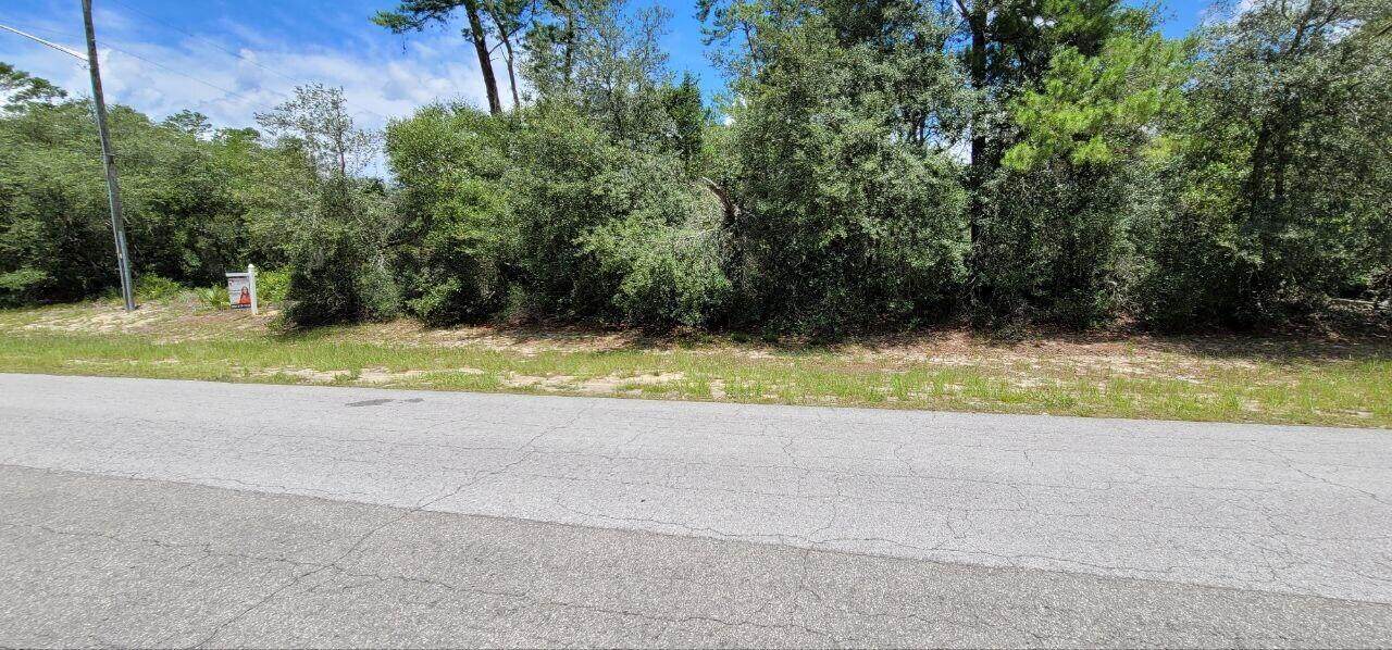 0000 Marion Oaks - Photo 1